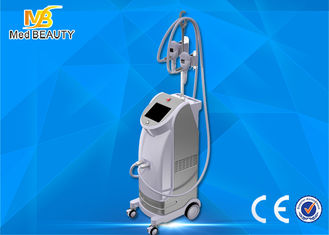 China Best seller vertical fat freezing cryolipolisis coolsculpting cryolipolysis machine fournisseur