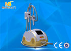 China Cryo Fat Dissolved Weight Loss Coolsculpting Cryolipolysis Machine usine